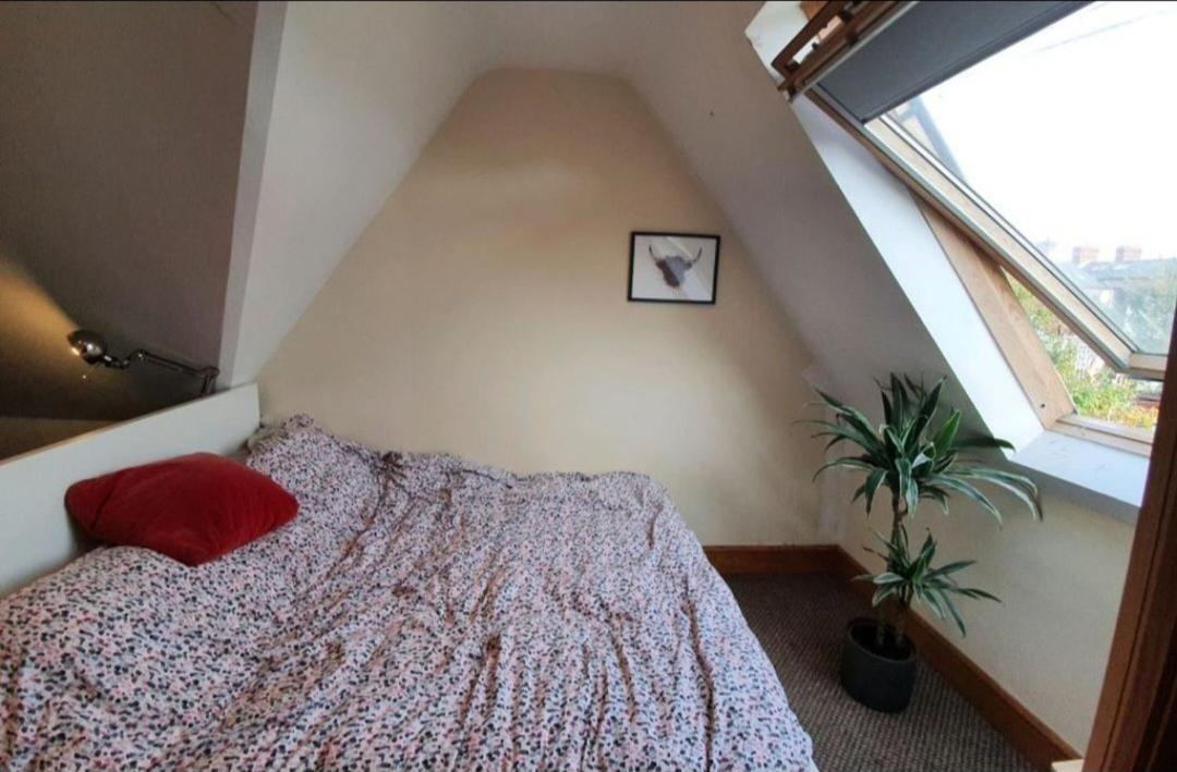 Cute D3 Cottage Dublin Extérieur photo